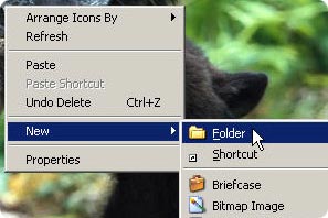 Make a folder for your downloads